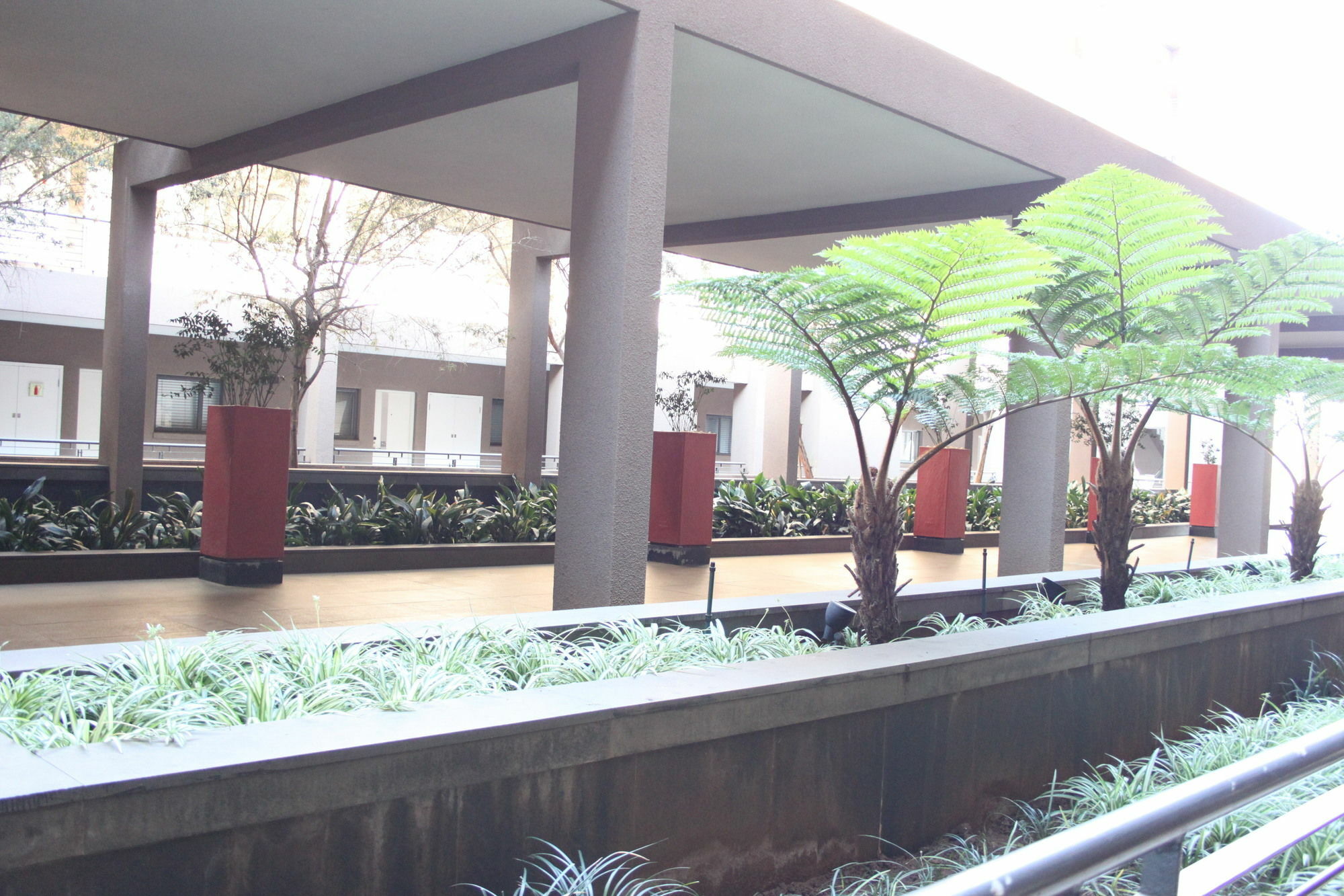جوهانسبورغ The Nicol Hotel And Apartments المظهر الخارجي الصورة